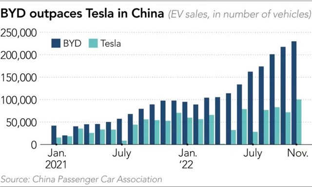 Doanh số bán xe điện của BYD ngày càng vượt trội so với Tesla tại Trung Quốc. (Nguồn: Asia Nikkei).